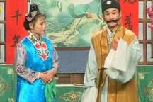呆子不呆下载