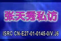 张天秀私访 唱段下载