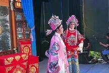 孟丽君 全场下载