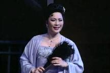 沪剧少奶奶的扇子 马莉莉等名家演绎 3部