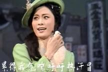 沪剧啼笑姻缘 马莉莉陆敬业主演全3部