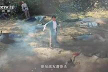 红色浙西南
