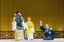 绍剧包公打銮驾·断太后 施洁净姚百青演出 9部下载