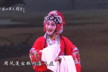 大型古装淮海戏抬花轿