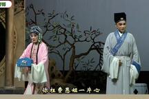 锡剧珍珠塔一，主演：王子瑜、蔡瑜等