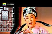 扬剧二度梅选集4部李政成葛瑞莲 选集 4部