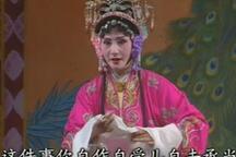 大型传统淮剧金水桥