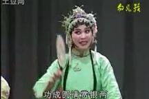 衡阳花鼓戏张子映经典作品合集 42部